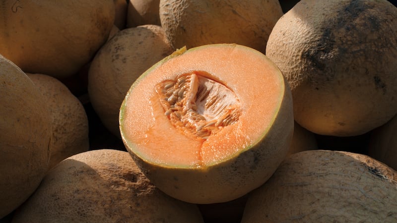 FILE - Cantaloupes are displayed for sale in Virginia on Saturday, July 28, 2017.