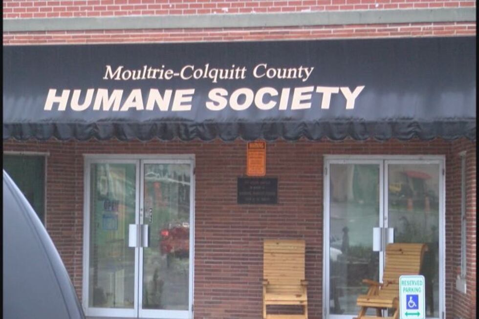 The dogs are being held at the Moultrie-Colquitt County Humane Society. (Source:WALB)