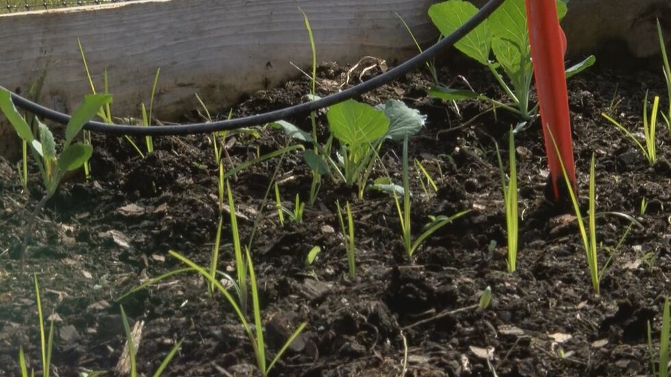 Farmers said the ag industry has changed over time.