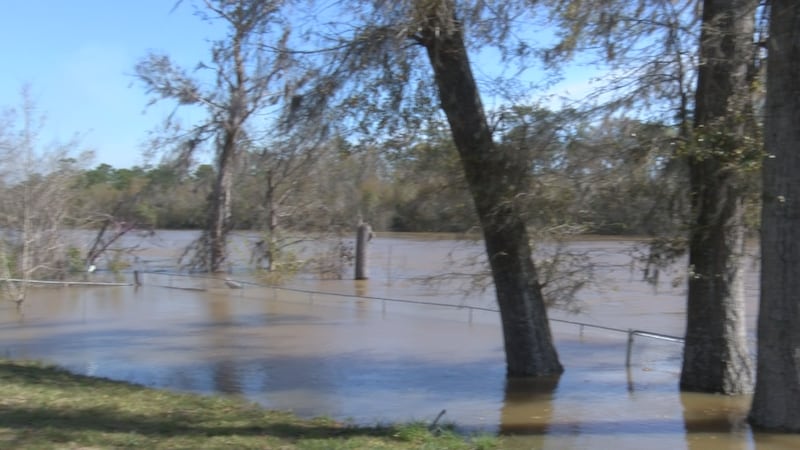 Flint River Forecast to Recede Greatly Over Next Few Days, Bainbridge