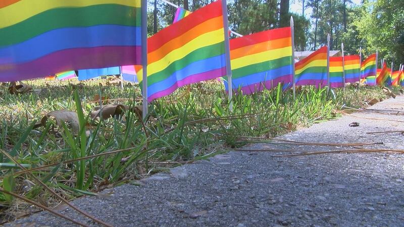A Valdosta man is facing charges after police say he stole several pride flags and a yard sign...