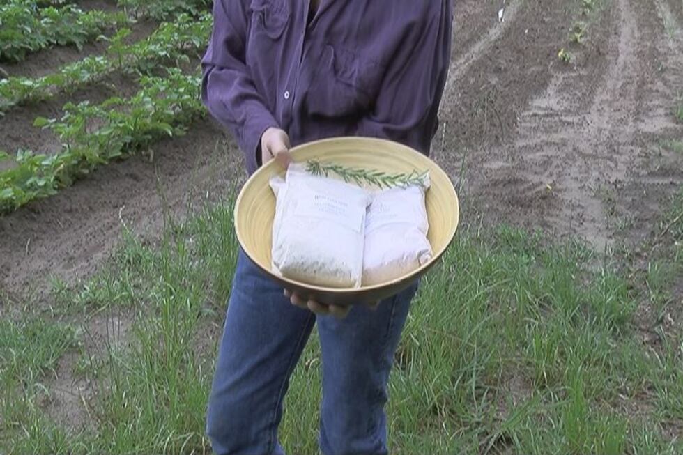 Grits are one of the items Quarterman plans to sell at Farm Days