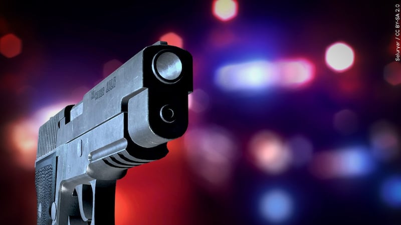 The victim was shot and killed while in their car at a stop sign in Fitzgerald on Sunday...