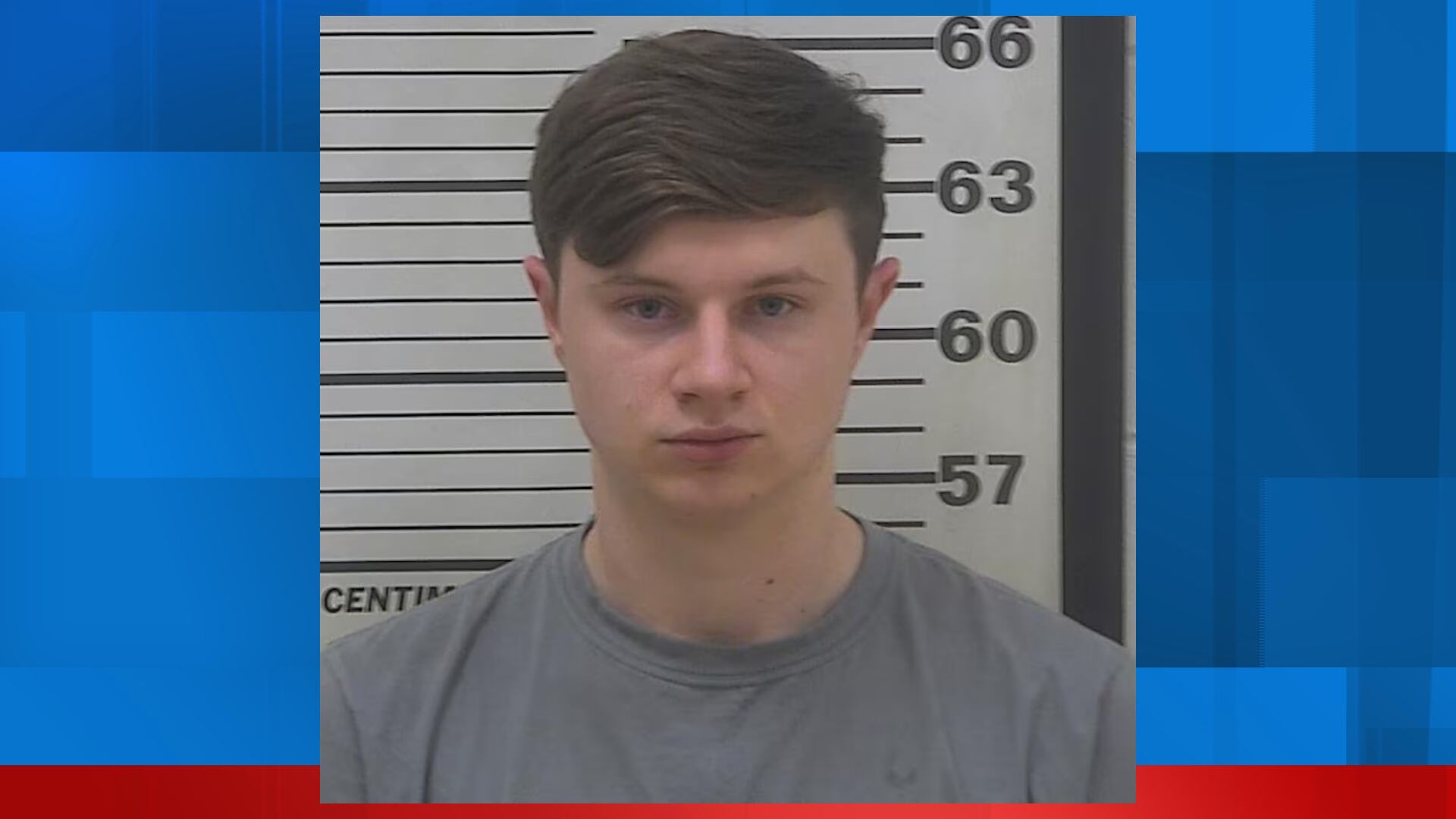 UPDATE: Man enters new plea Willacoochee hit and run death - Vimarsana News