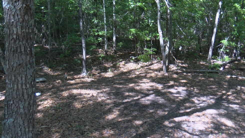 Deputies said this is where the dog fighting took place on the property on Jessie Mitchell Road