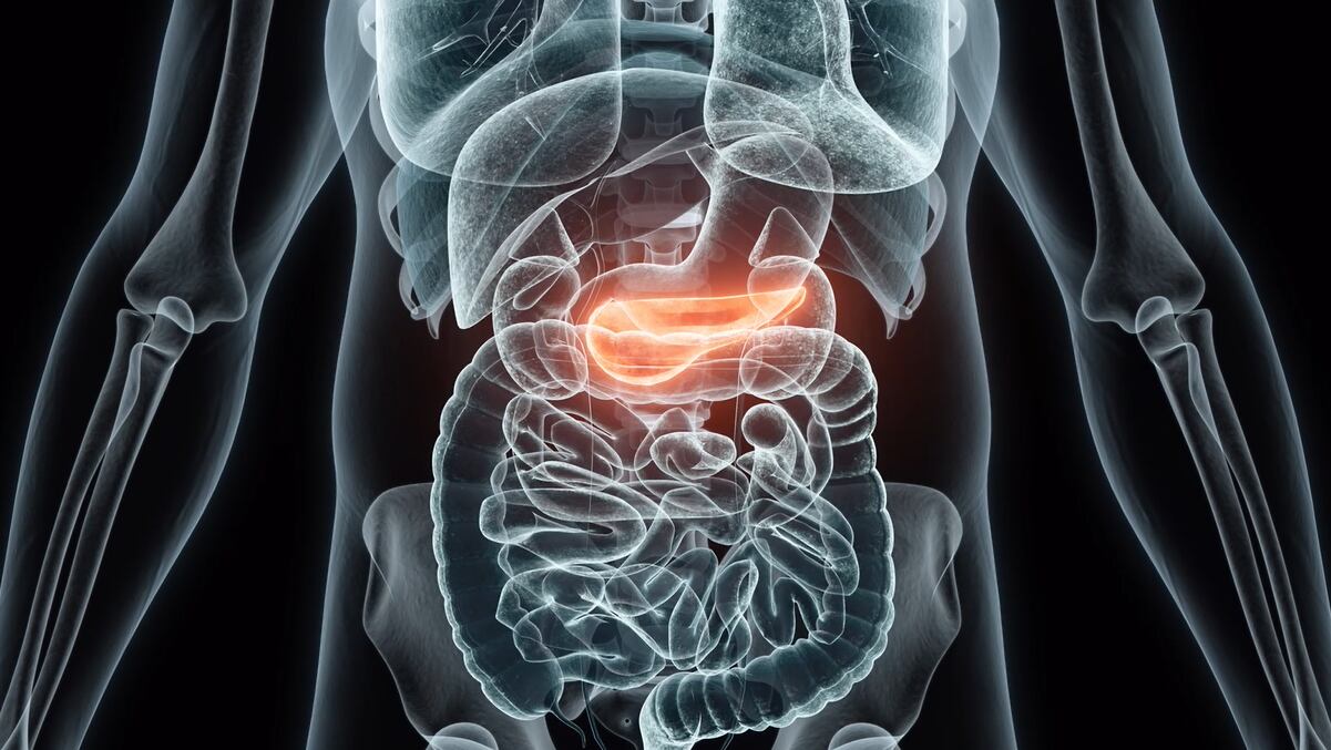 Building a Smarter Bionic Pancreas for Type 1 Diabetes - Vimarsana News
