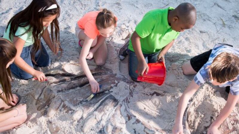 Dinosaur Explore will be at Wild Adventures for a limited engagement during our 2024 Season.