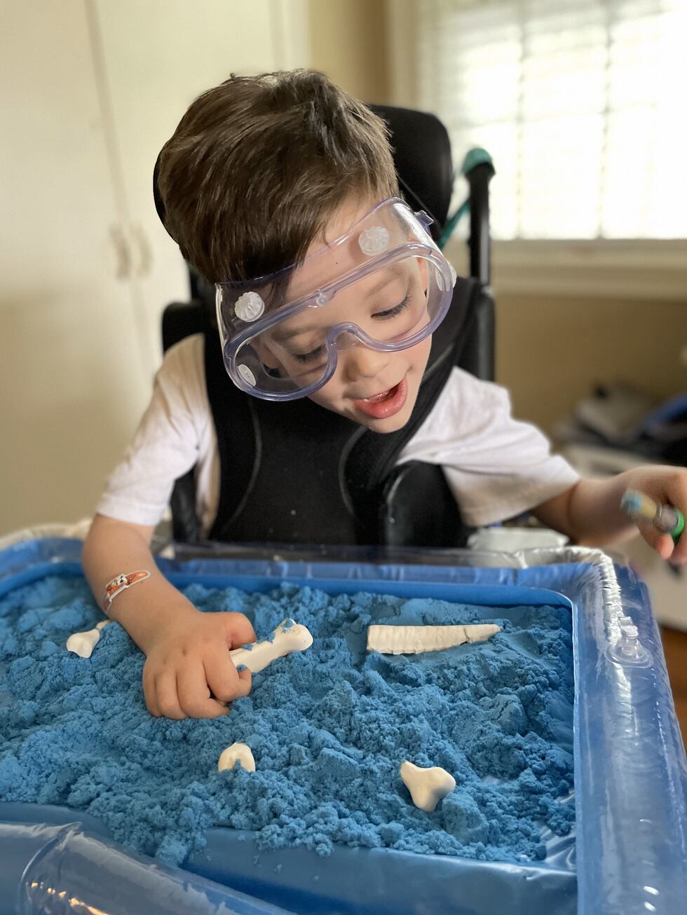 Cloud Kirbo-- future paleontologist.