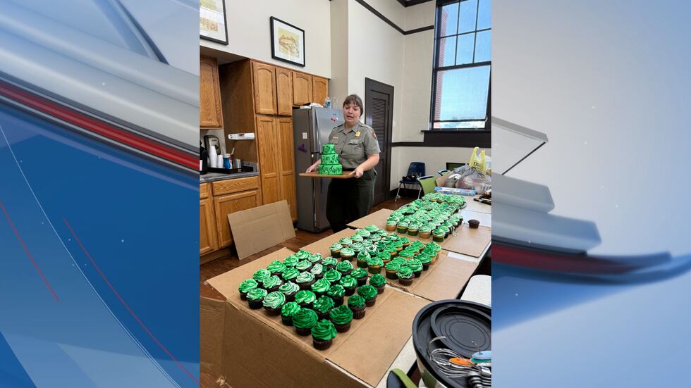 Green cupcakes were available to the public.