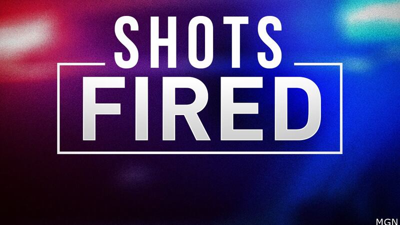 Shots were fired outside of the Albany Mall early Saturday afternoon.