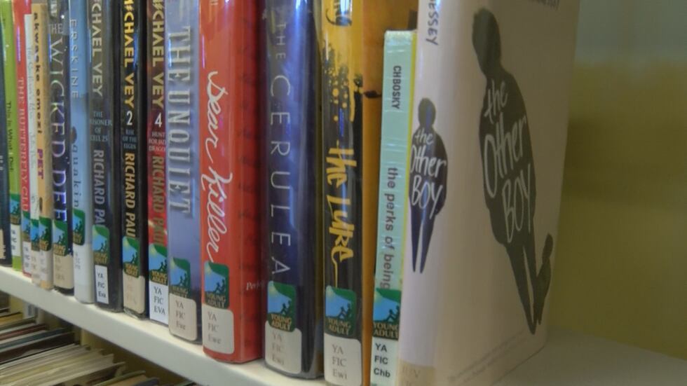 Books like "The Other Boy" by M. G. Hennessey are a part of other books being questioned.